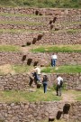 Moray