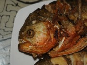 Frittierter Piranha