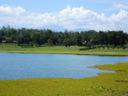 Pinamaloy-Lake