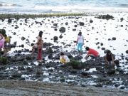 Muschelsammler in Dumaguete