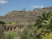 Jardin Canario